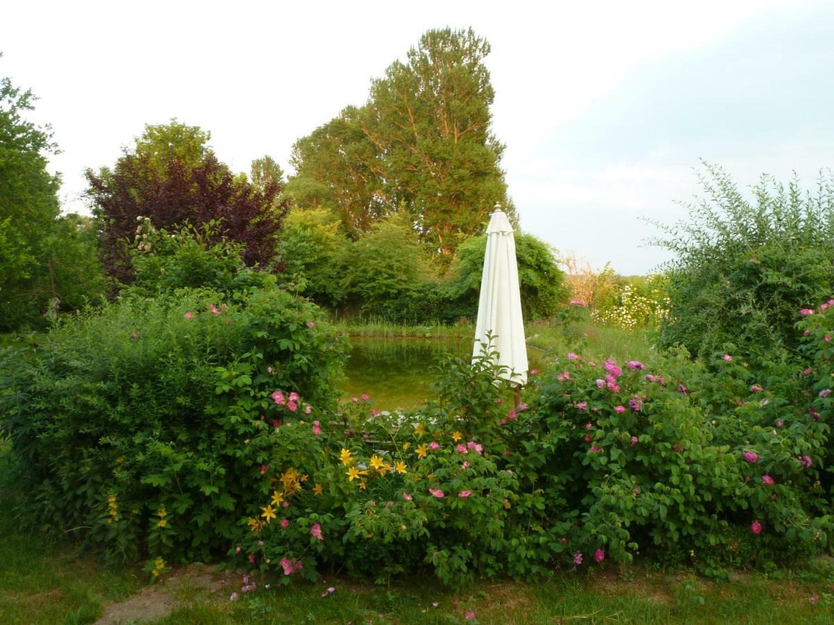 Gutshaus Altbauhof Apartment Dargun Luaran gambar